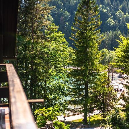 House Moose'T Getaway, Kranjska Gora 빌라 외부 사진