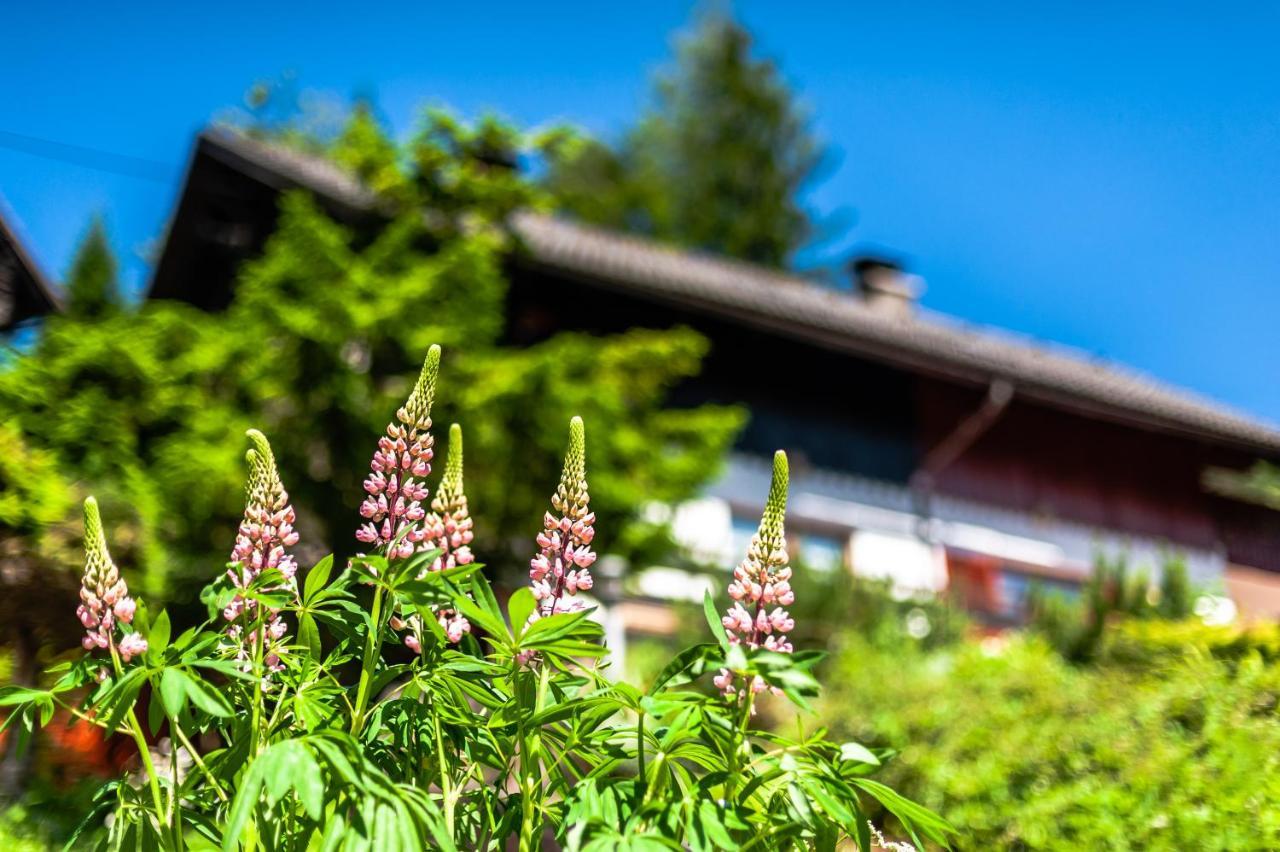 House Moose'T Getaway, Kranjska Gora 빌라 외부 사진