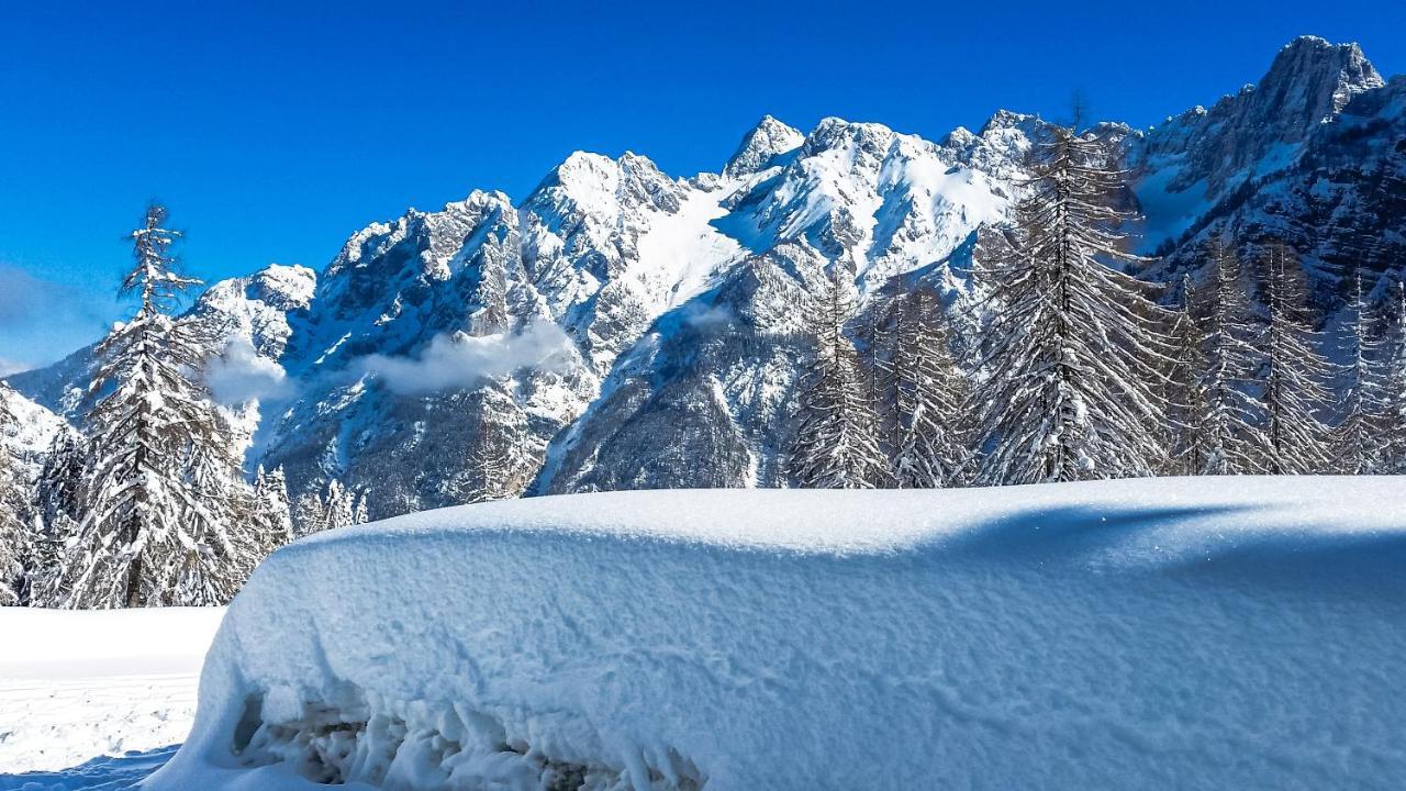 House Moose'T Getaway, Kranjska Gora 빌라 외부 사진