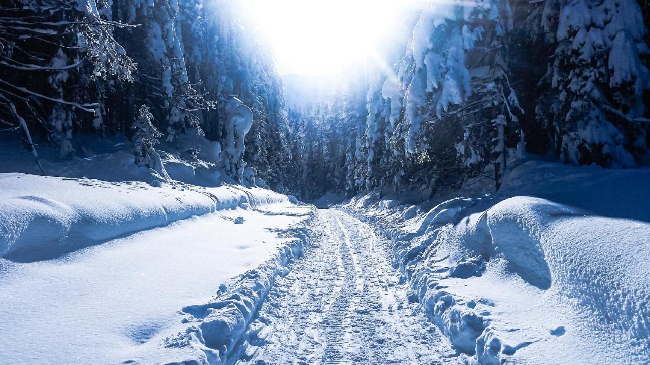 House Moose'T Getaway, Kranjska Gora 빌라 외부 사진
