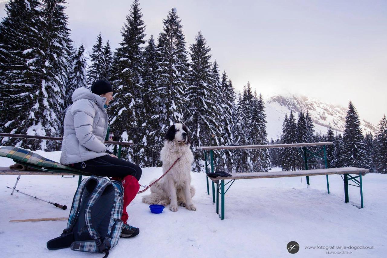 House Moose'T Getaway, Kranjska Gora 빌라 외부 사진